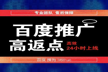 百度SEO推广策略调整：一个成功的调整案例